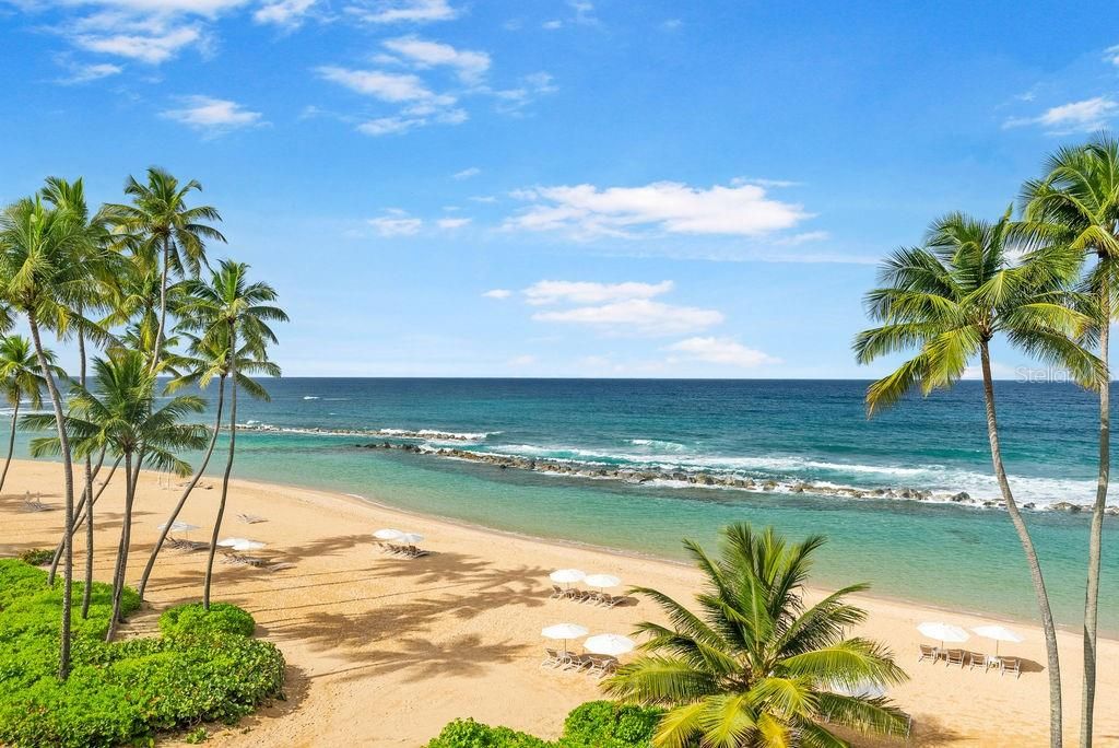 待售: $55,000,000 (4 贝兹, 4 浴室, 11000 平方英尺)