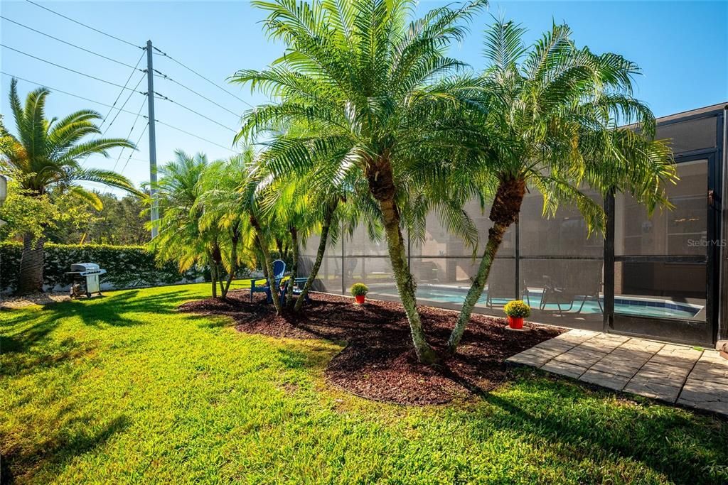 Под контрактом: $450,000 (3 спален, 2 ванн, 2214 Квадратных фут)