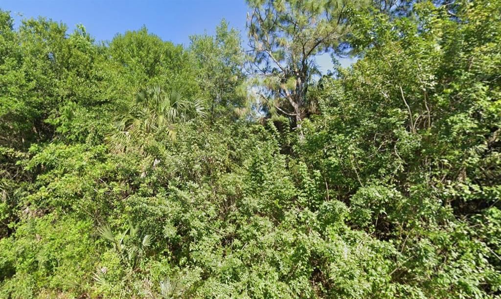 待售: $22,000 (0.25 acres)