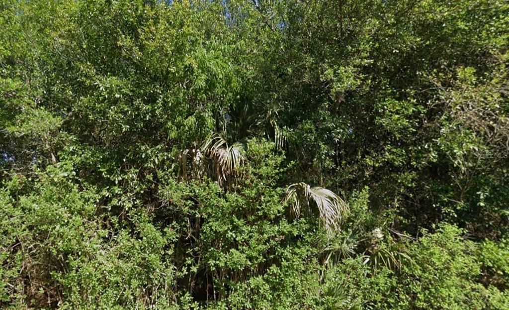 待售: $22,000 (0.25 acres)