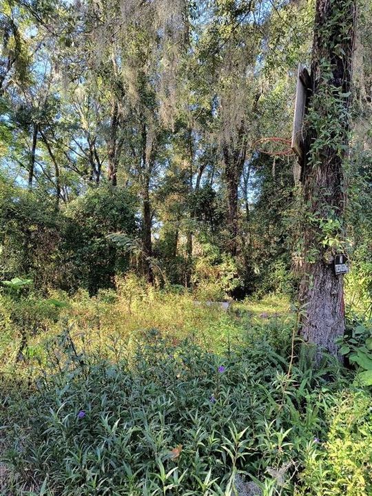 待售: $19,900 (0.26 acres)