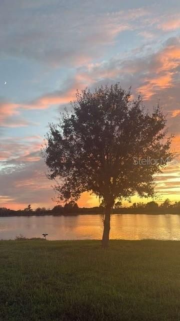 На продажу: $324,000 (3 спален, 2 ванн, 1365 Квадратных фут)