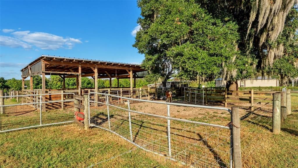 待售: $620,000 (4 贝兹, 2 浴室, 2049 平方英尺)