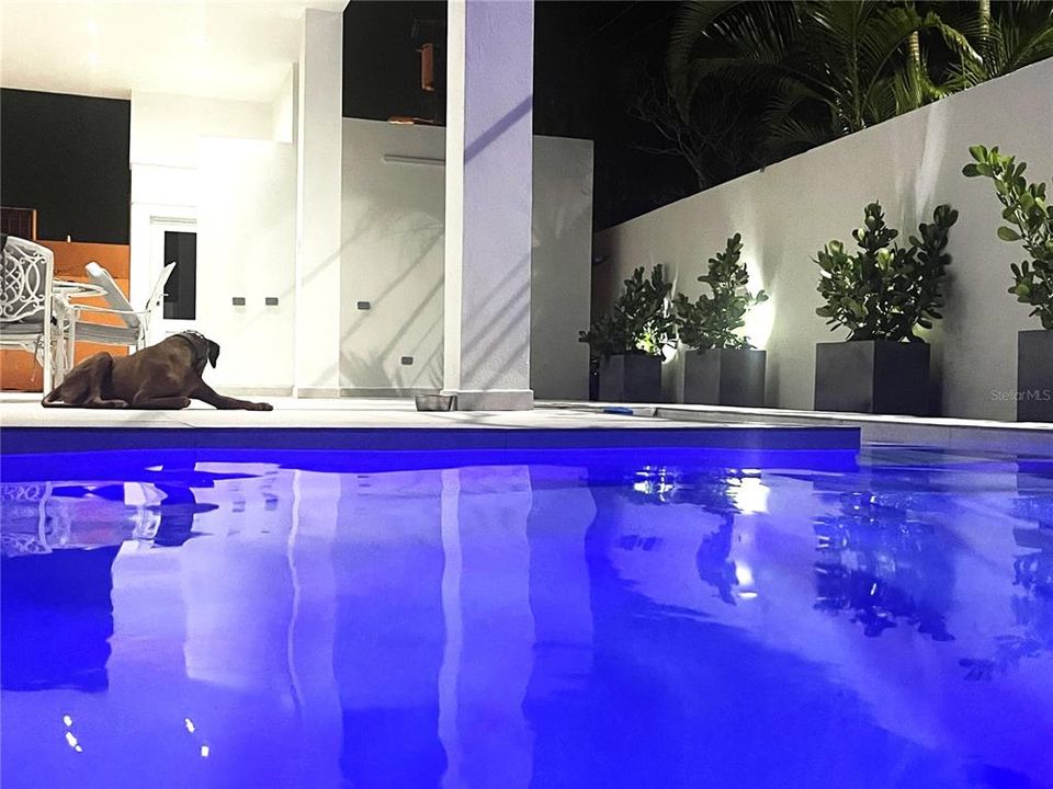 В аренду: $8,500 (5 спален, 6 ванн, 4000 Квадратных фут)