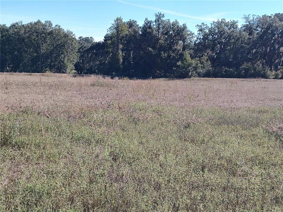 待售: $589,000 (3.50 acres)