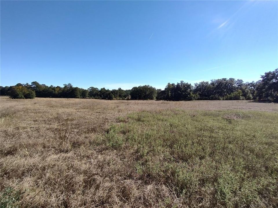 For Sale: $569,000 (4.50 acres)