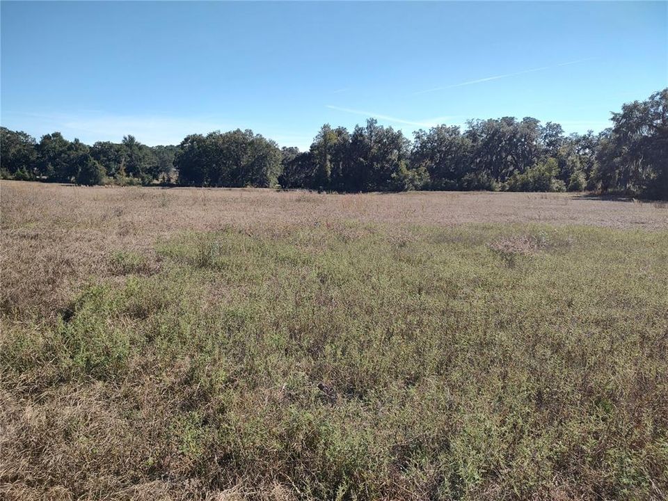 For Sale: $569,000 (4.50 acres)