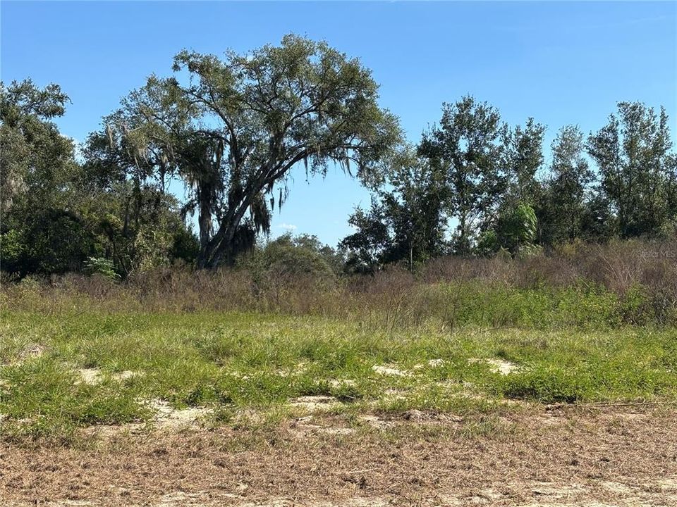 待售: $400,000 (0.31 acres)