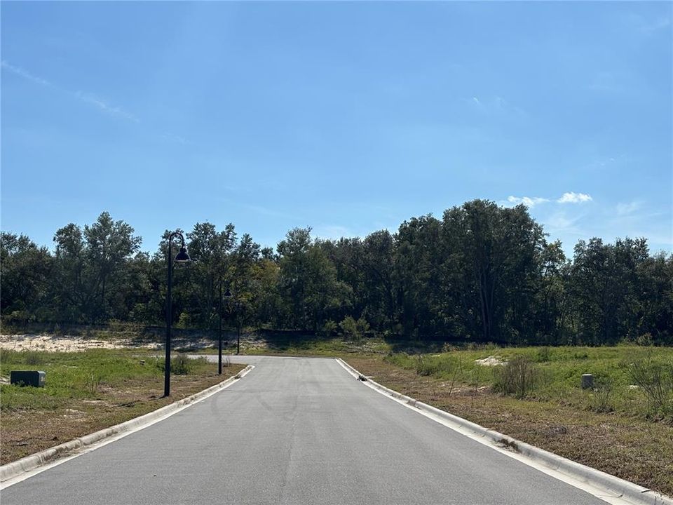 待售: $400,000 (0.31 acres)