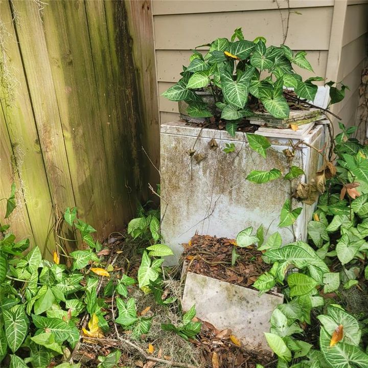 待售: $109,000 (2 贝兹, 1 浴室, 900 平方英尺)