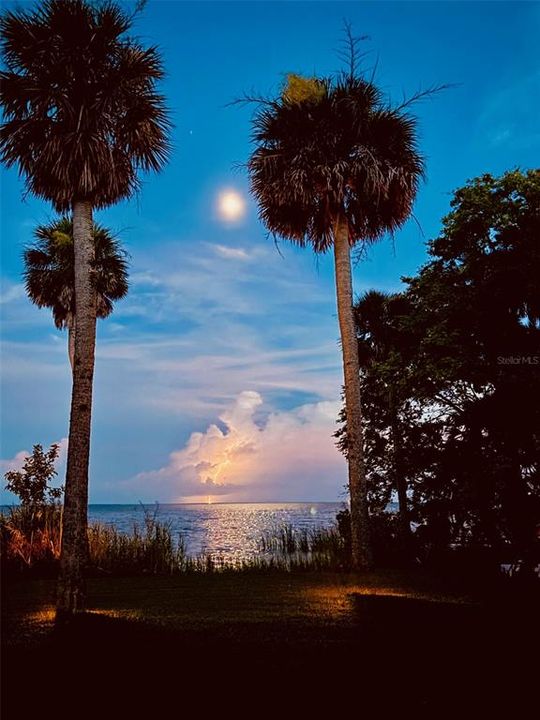 For Sale: $874,900 (6 beds, 3 baths, 2618 Square Feet)