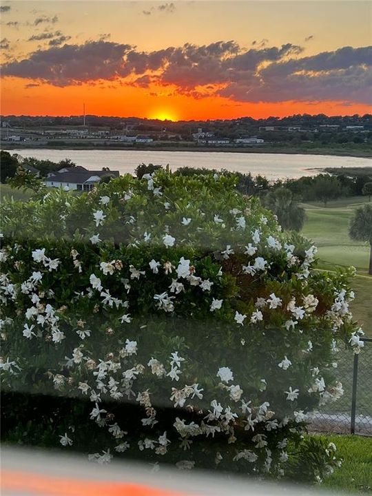 Под контрактом: $429,990 (3 спален, 2 ванн, 1846 Квадратных фут)