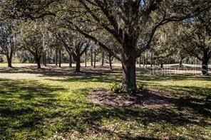 For Sale: $399,900 (3 beds, 2 baths, 1942 Square Feet)