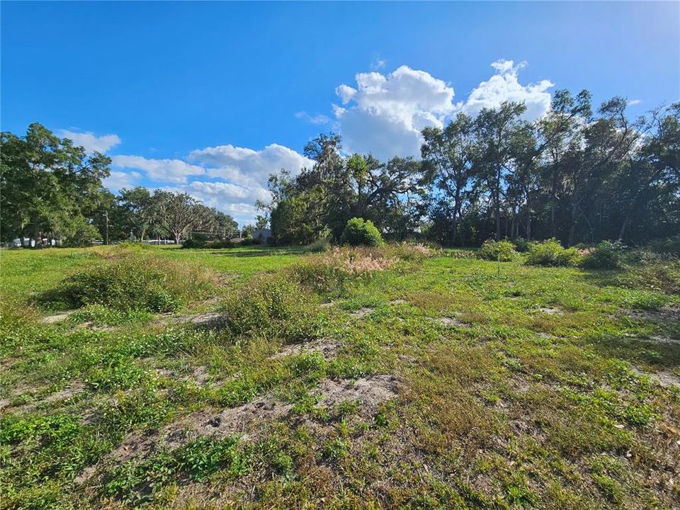 For Sale: $165,000 (1.74 acres)