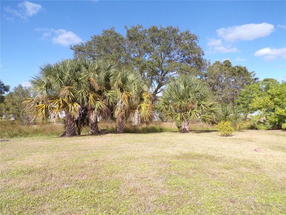 Под контрактом: $1,500 (2 спален, 1 ванн, 953 Квадратных фут)