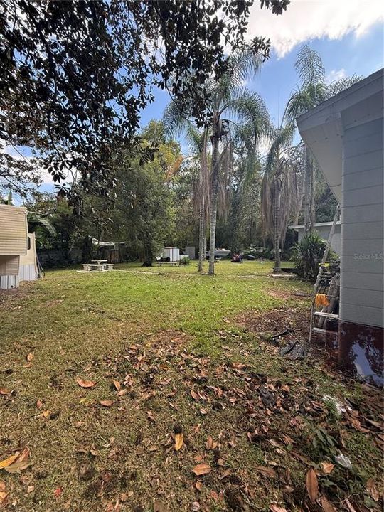 出租: $2,200 (2 贝兹, 1 浴室, 912 平方英尺)