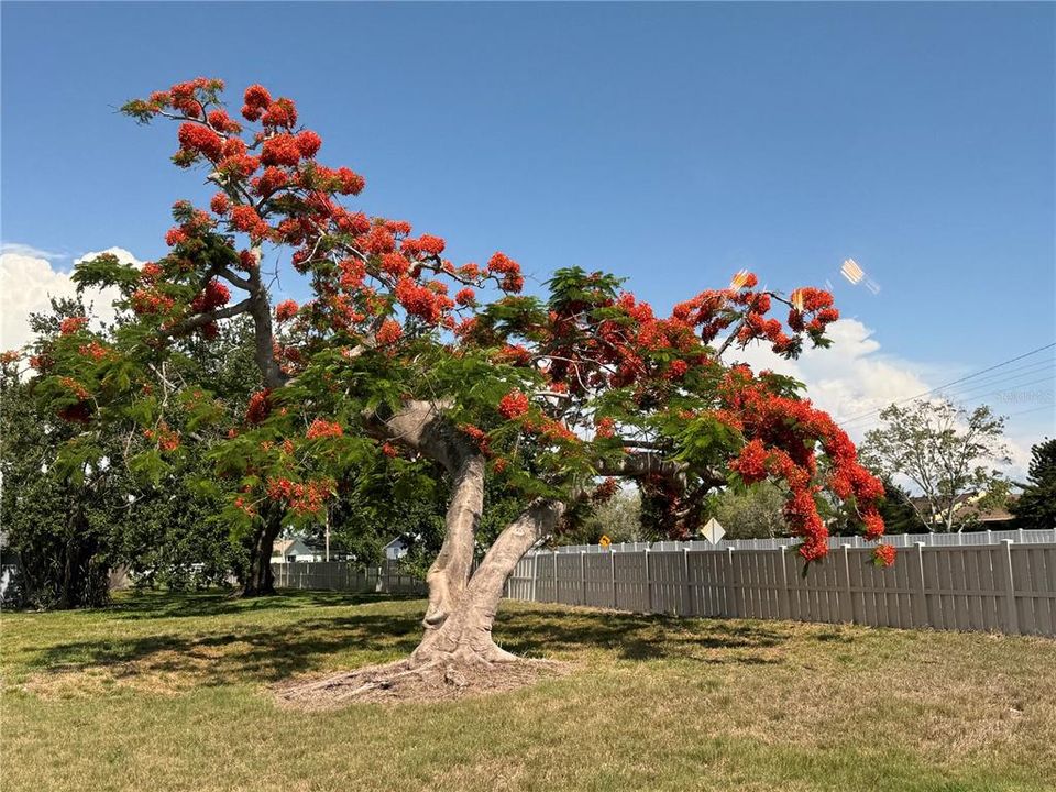 На продажу: $199,000 (2 спален, 2 ванн, 945 Квадратных фут)