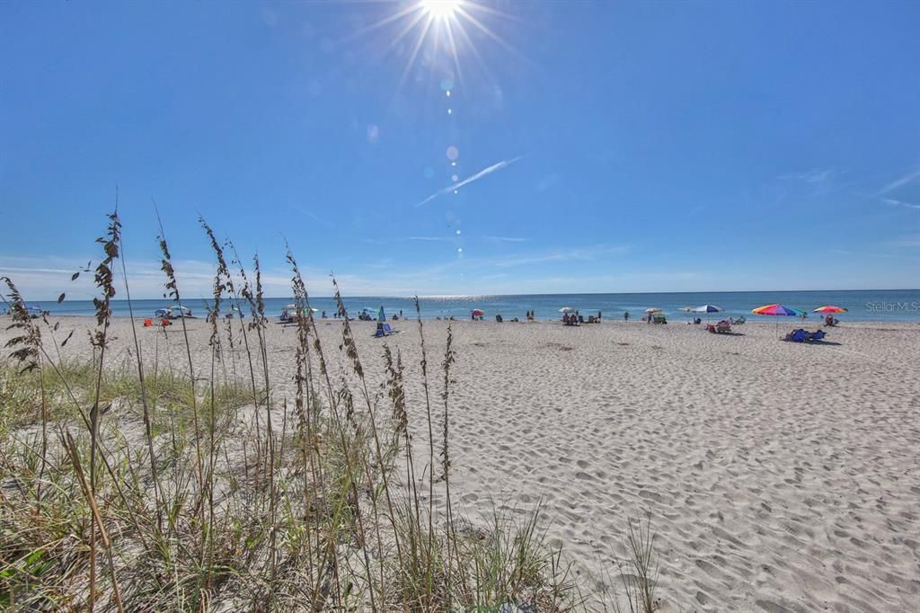 Active With Contract: $550,000 (3 beds, 2 baths, 2427 Square Feet)