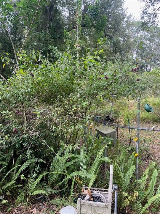 最近售出: $50,000 (0.22 acres)