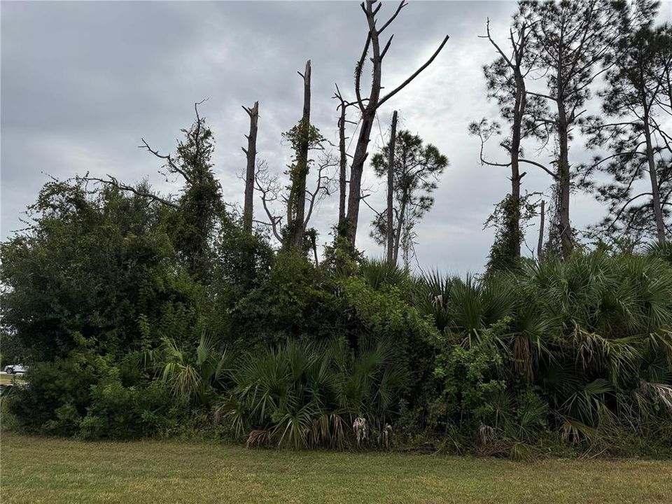 Recently Sold: $25,000 (0.30 acres)