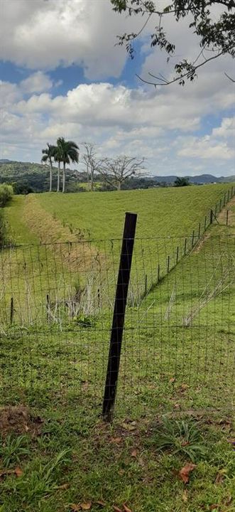 На продажу: $248,295 (17.31 acres)