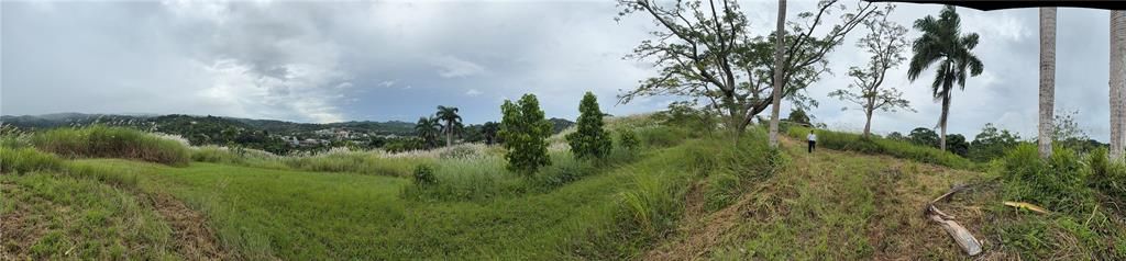 На продажу: $248,295 (17.31 acres)