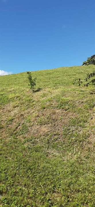 На продажу: $248,295 (17.31 acres)