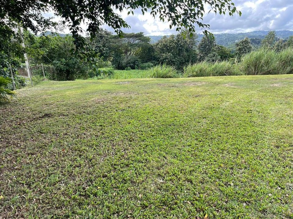 На продажу: $248,295 (17.31 acres)