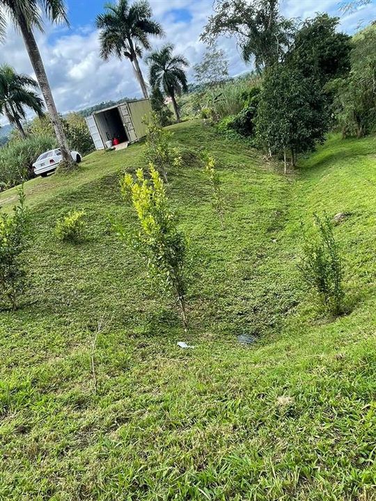 На продажу: $248,295 (17.31 acres)