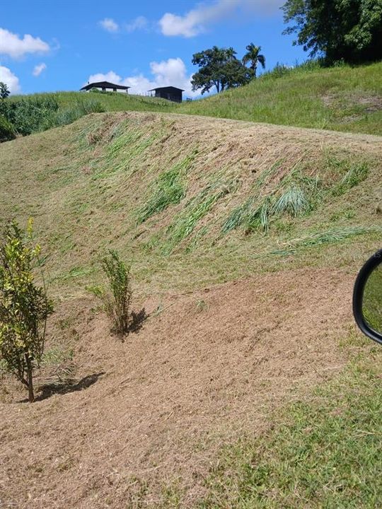 На продажу: $248,295 (17.31 acres)