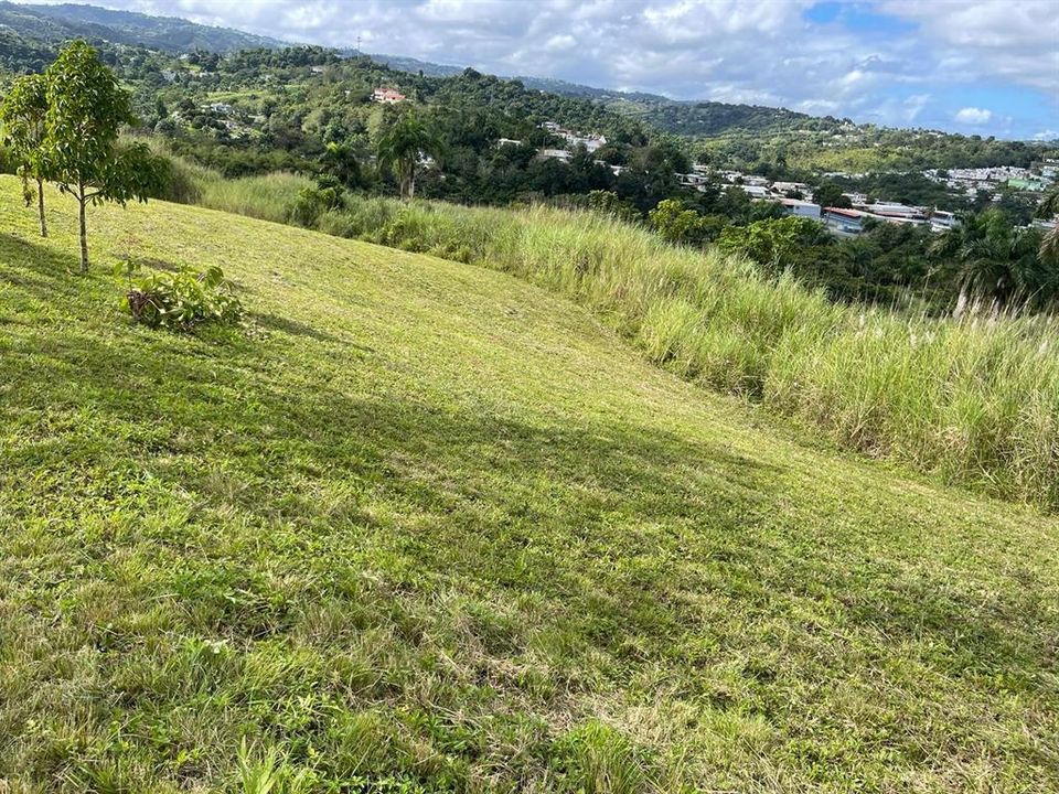 На продажу: $248,295 (17.31 acres)