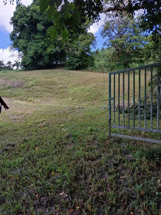 На продажу: $248,295 (17.31 acres)