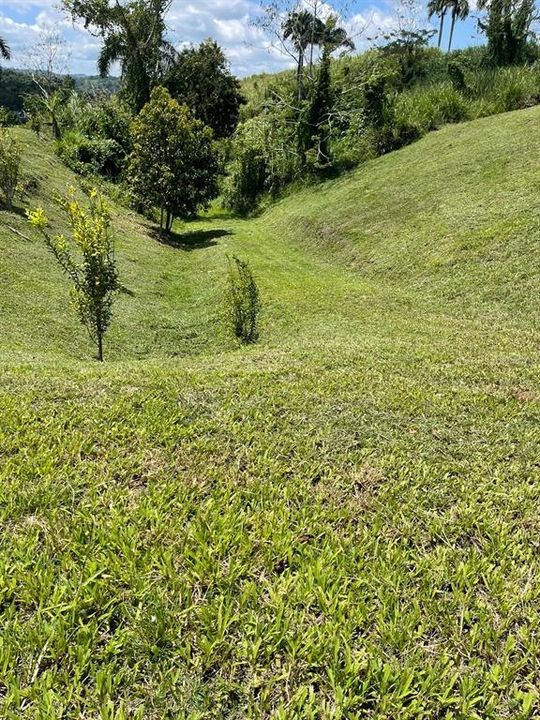 На продажу: $248,295 (17.31 acres)