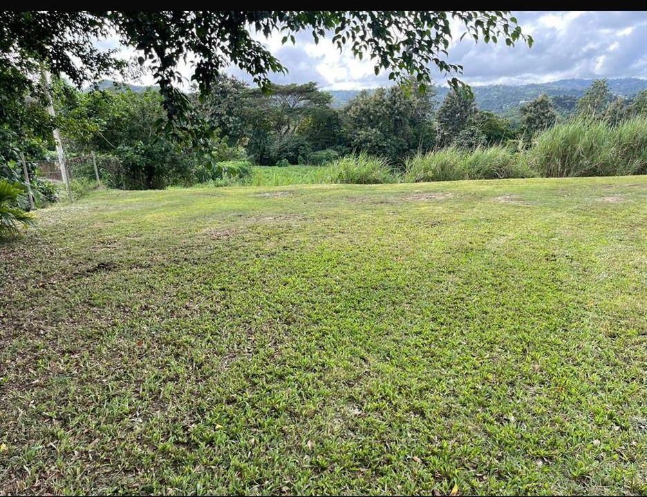 На продажу: $248,295 (17.31 acres)