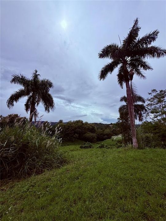 На продажу: $248,295 (17.31 acres)