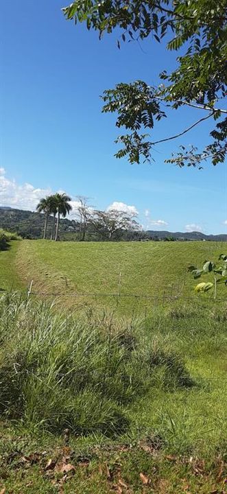 На продажу: $248,295 (17.31 acres)