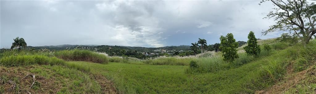 На продажу: $248,295 (17.31 acres)