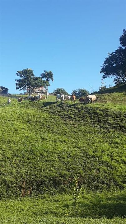 На продажу: $248,295 (17.31 acres)