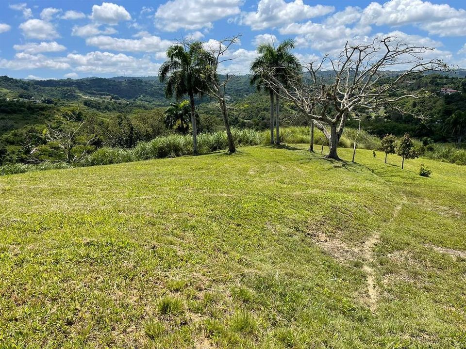 На продажу: $248,295 (17.31 acres)