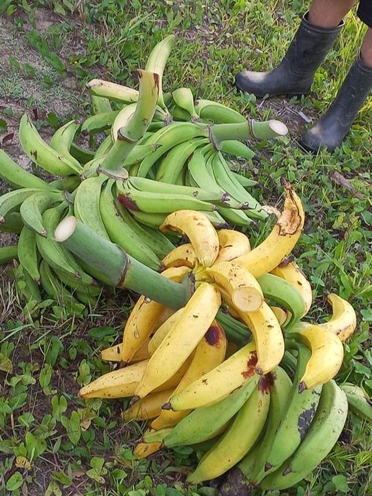 На продажу: $248,295 (17.31 acres)