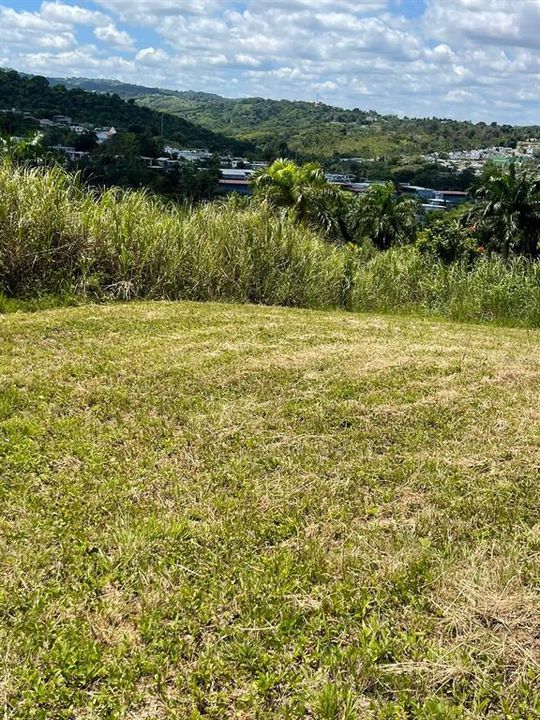 На продажу: $248,295 (17.31 acres)