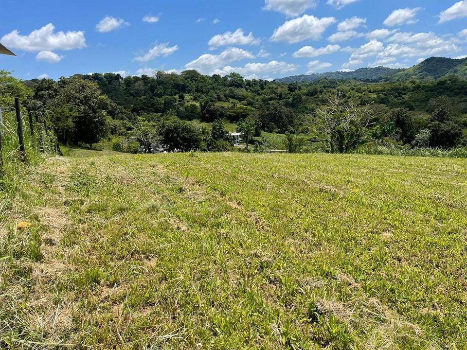 На продажу: $248,295 (17.31 acres)