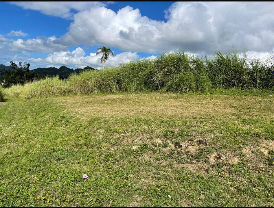 На продажу: $248,295 (17.31 acres)