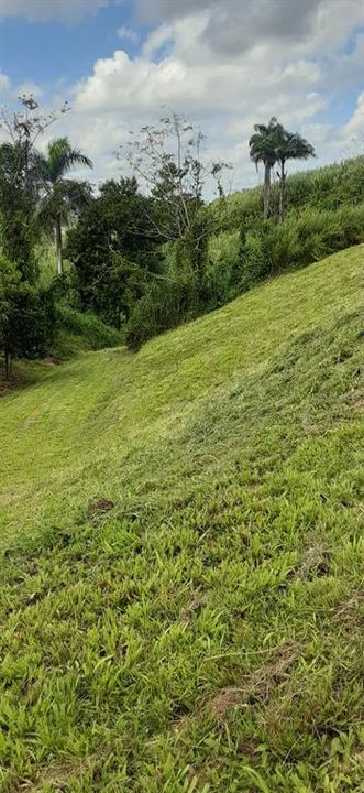 На продажу: $248,295 (17.31 acres)