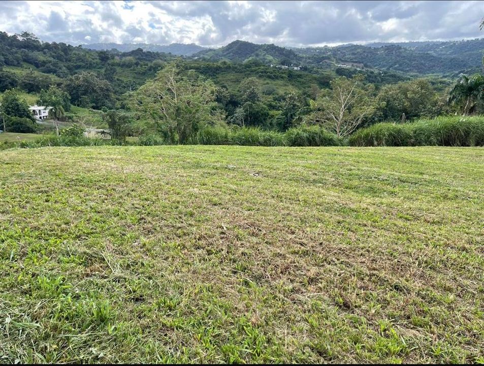 На продажу: $248,295 (17.31 acres)