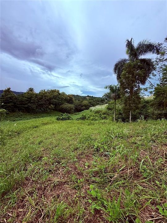 На продажу: $248,295 (17.31 acres)