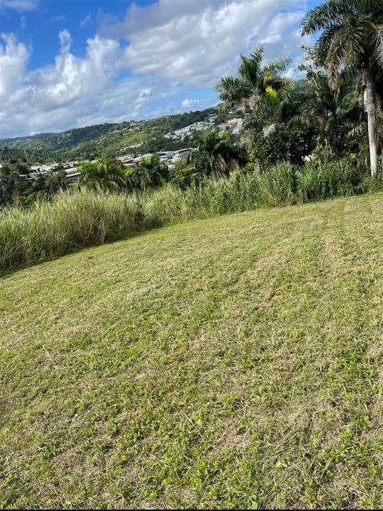 На продажу: $248,295 (17.31 acres)