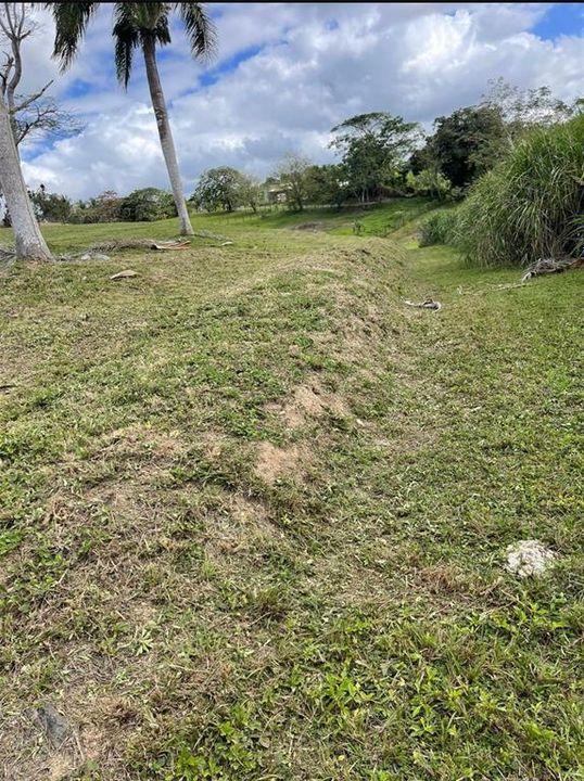 На продажу: $248,295 (17.31 acres)