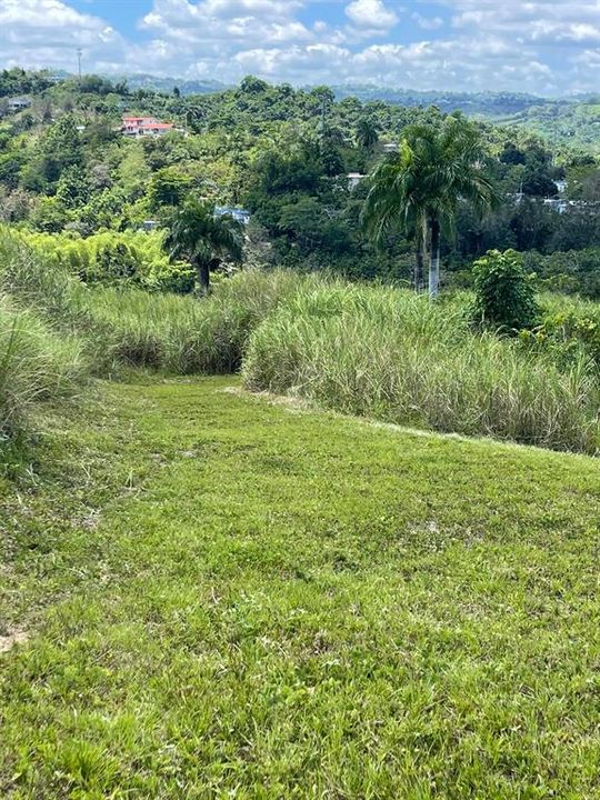 На продажу: $248,295 (17.31 acres)