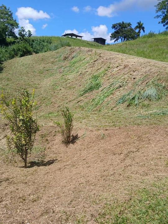 На продажу: $248,295 (17.31 acres)